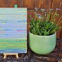Coloured lines 16 2025, 20x15,  Spray-Lack auf Holz, € 95